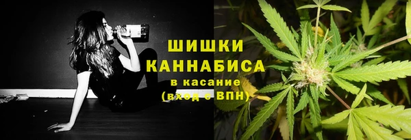 спиды Богородск