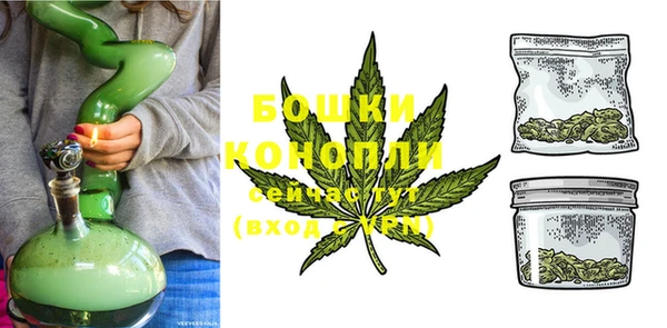 спиды Богородск