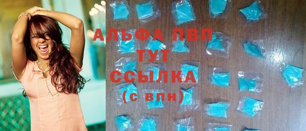 спиды Богородск