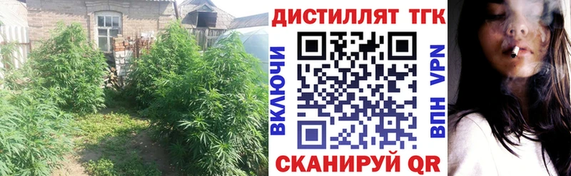 Дистиллят ТГК гашишное масло  Купить где  Высоковск 