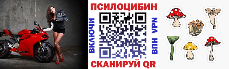 Купить  Высоковск  Псилоцибиновые грибы ЛСД 